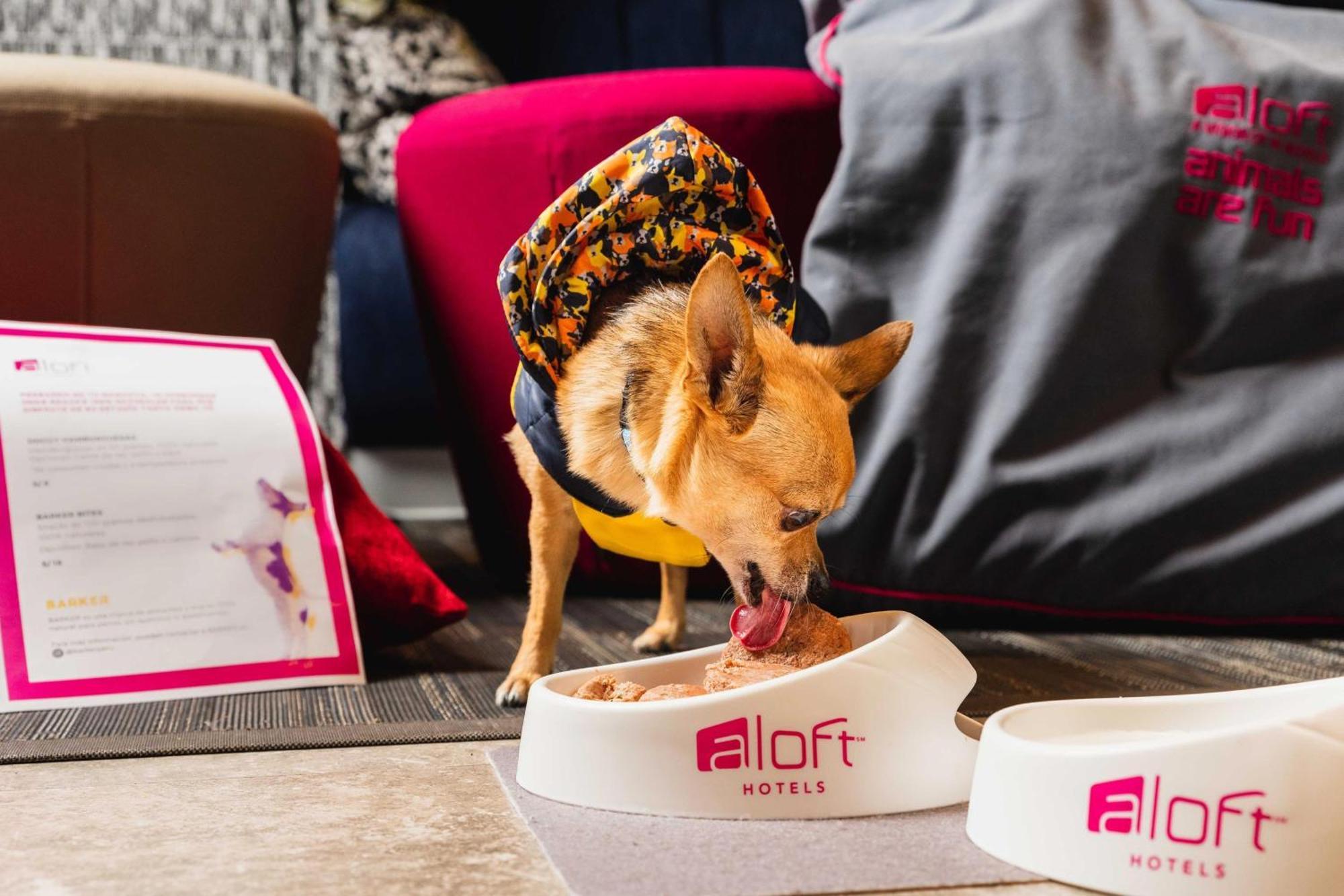 Aloft Lima Miraflores Zewnętrze zdjęcie
